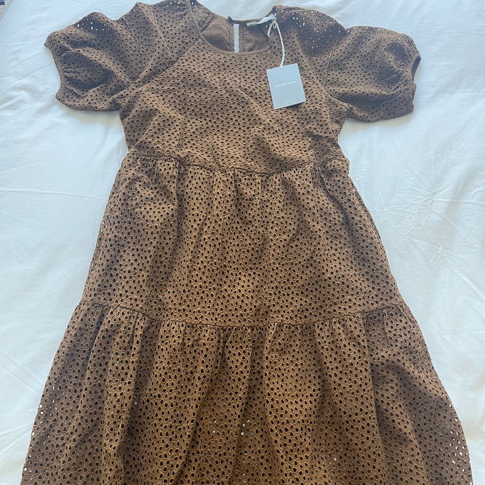 Elegant Brown Eyelet Dress